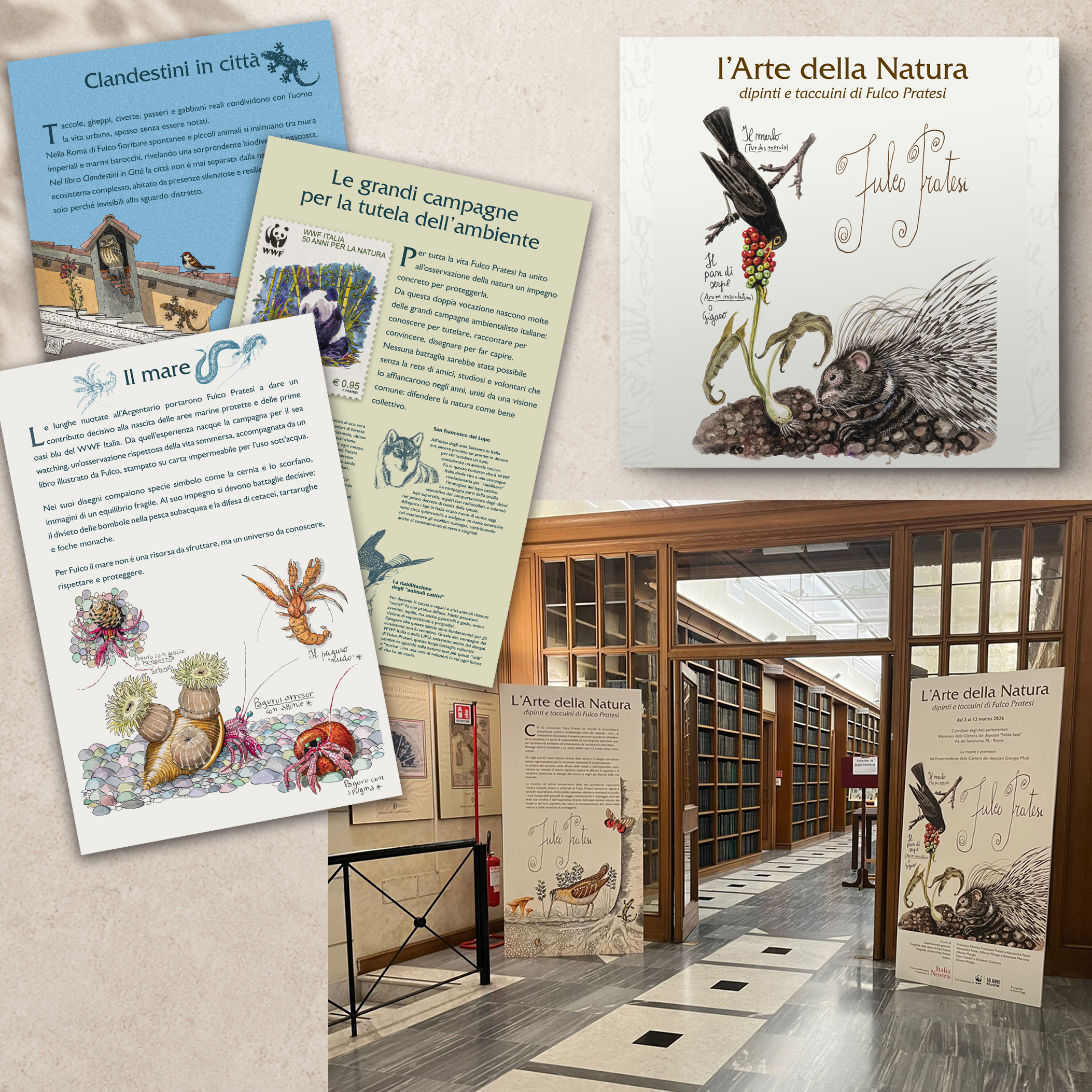 Portfolio fp composizione lavori copia 2